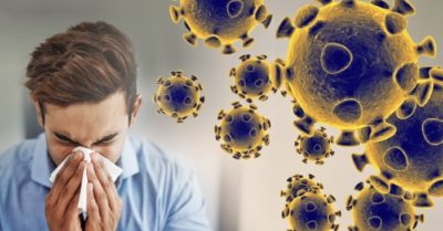 Chúng ta không thể diệt được virus nhưng có thể diệt được nơi sinh sản của nó