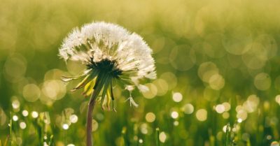 Để phúc lộc càng nhiều, tai họa càng ít hãy luôn ghi nhớ “3 thêm 3 bớt”