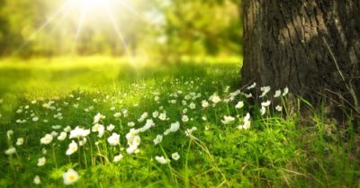 Hai chữ “nóng nảy” tạo nên sự thất bại của đời người