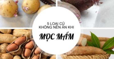 5 loại củ khi mọc mầm sinh ra độc tố, gây hại cho sức khỏe