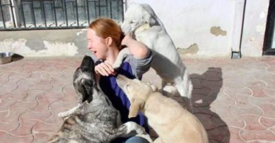 Người phụ nữ Mỹ quyết không rời Afghanistan vì không được đem theo chó mèo
