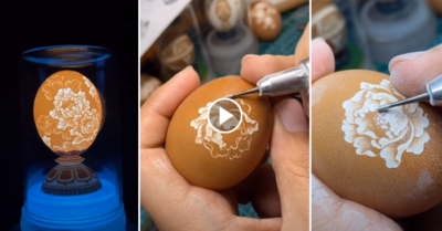 Video: Nghệ thuật điêu khắc trên vỏ trứng gà