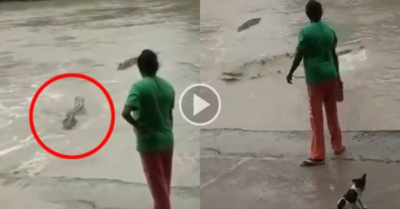 Video: Cá sấu sợ hãi quay đầu khi gặp “đối thủ” có dép xỏ ngón