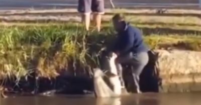 Video: Đám đông nháo nhào khi cần thủ câu được cá ‘khủng’