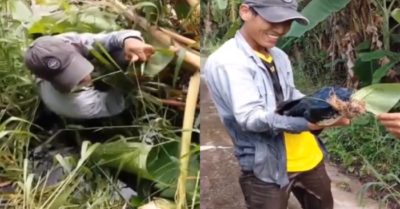 Video: Cần thủ giăng câu dính con cá lóc ‘khủng long’