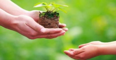 Quy luật bất biến: Giúp người khác cũng lại là giúp mình