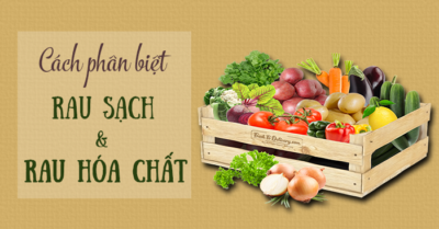 Cách phân biệt rau sạch và rau hóa chất đơn giản
