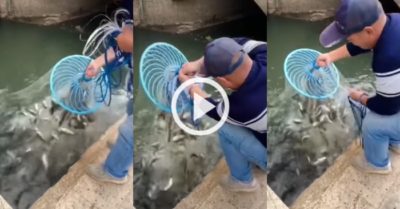 Video: Chàng trai quăng chài nhỏ được mẻ cá to