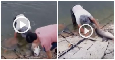 Video: Cần thủ tiếc nuối vì để trượt mất cá khủng