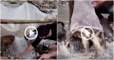 Video: Bắt được mẻ cá khủng nhờ chiếc bẫy độc lạ