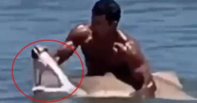 Video: Thanh niên lao xuống biển, tay không giật hàm cá mập để chụp ảnh