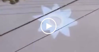 Video: Cận cảnh hoa sen ‘huyền bí’ không cành không lá nở rộ trên sông