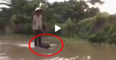 Video: ‘Cao thủ’ thư thái cưỡi trâu lướt trên mặt nước