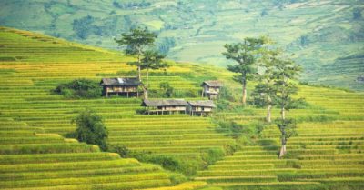Học tiếng Trung: Mỗi ngày 10 từ vựng có trong sách Chuyển Pháp Luân – P249