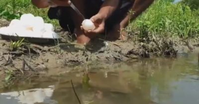 Video: Người đàn ông câu cá bằng mồi trứng