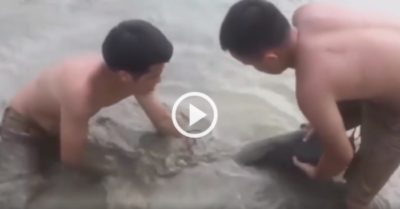Video: Hai thanh niên thích thú khi bắt được cá trê khủng