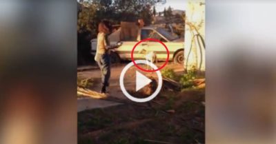 Video: Chó mẹ bị gãy chân vẫn lết hơn 3 km tìm người chăm sóc đàn con