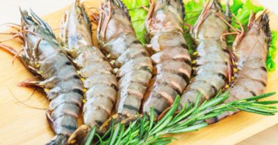 Bí quyết chọn được tôm tươi ngon “bách phát bách trúng”