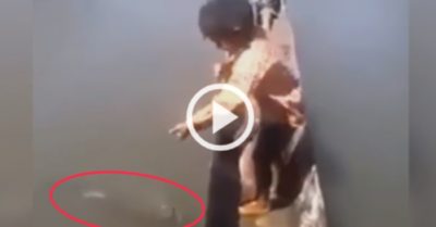 Video: Cần thủ nhí câu được cá khủng