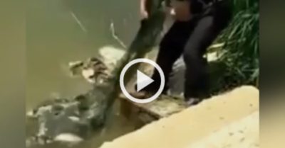 Video: Người đàn ông ngơ ngác khi tuột mất mẻ cá to