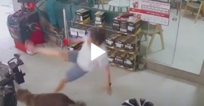 Video: Cô chủ ngã sõng soài vì tung cước trêu cún cưng