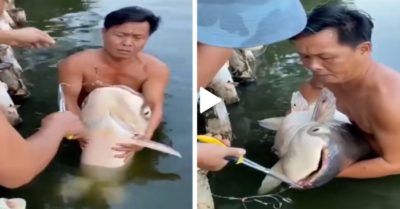 Video: Người đàn ông nhảy xuống hồ ôm cá khủng
