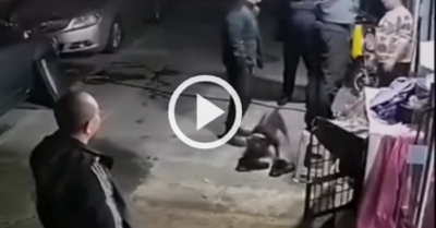 Video: Chú cún “trúng độc” sau khi ngửi đôi giày của một người đàn ông