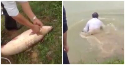 Clip: Cần thủ tiếc ngẩn người vì tuột mất cá to