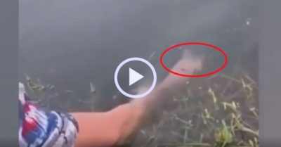 Video: Cần thủ dùng ngón tay làm mồi nhử bắt cá to
