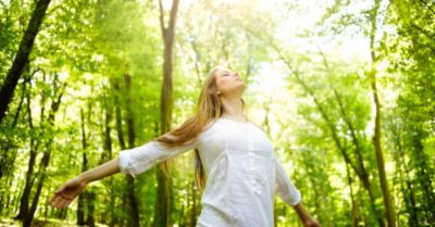 Tắm rừng – Liệu pháp giúp giải tỏa căng thẳng và lo âu của người Nhật