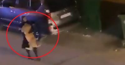 Clip: Cô gái tay không bế sư tử xổng chuồng