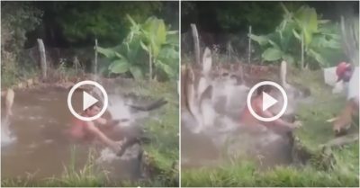 Video: Đàn cá thi nhau nhảy từ dưới ao lên bờ để cho mọi người bắt
