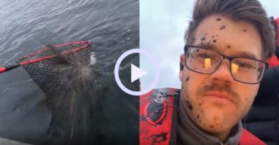 Video: Cần thủ lem nhem khắp mặt vì trúng đòn bạch tuộc