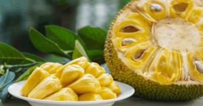 9 công dụng của quả mít đối với sức khỏe con người
