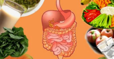 9 loại thực phẩm tốt cho hệ tiêu hóa, càng ăn càng nhuận tràng, kéo dài tuổi thọ