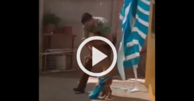 Video: Chú chó ôm anh cảnh sát sau khi được giải cứu