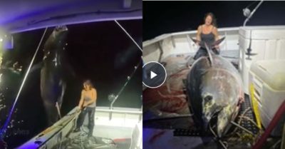 Video: Người phụ nữ sung sướng khi tóm được cá ‘khủng’, một mình kéo lên thuyền