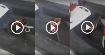 Video: Con cua biển cầm dao ‘dọa’ đầu bếp