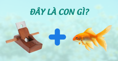 Đuổi hình bắt chữ: Đây là con gì?