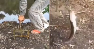 Video: Người đàn ông câu cá ‘độc nhất vô nhị’ không dùng cần