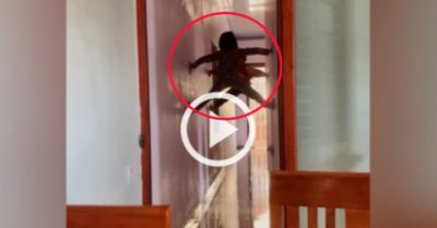 Video: Hai bé gái trèo tường như người Nhện