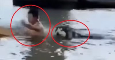 Clip: Bị chìm xuồng vì chở chó cưng béo ú