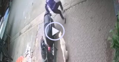 Video: Chú chó cưng đuổi tên trộm xe SH chạy thục mạng