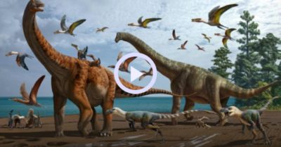 Video: Điều gì sẽ xảy ra nếu khủng long sống đến ngày hôm nay?