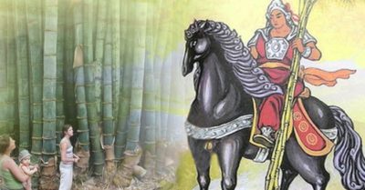 Loại tre cao bằng 10 tầng lầu, phải chăng đây là cây tre Thánh Gióng trong truyền thuyết?