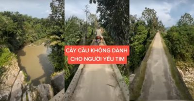 Clip: Cây cầu không dành cho người tay lái yếu