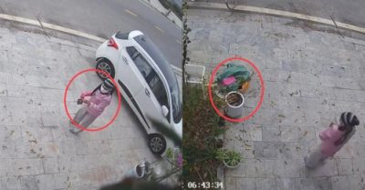 Video: Người phụ nữ nhặt ve chai ở trước cửa và để lại tiền khiến chủ nhà bất ngờ khi xem camera
