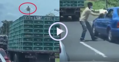 Video: Màn vượt ngục đầy kịch tính của con gà mái