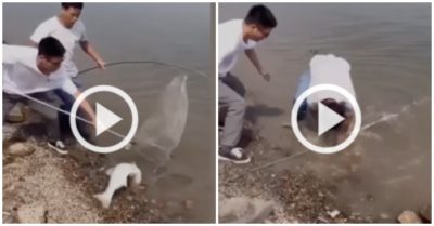 Video: Hai thanh niên múa cả tay lẫn chân vẫn để trượt cá khủng