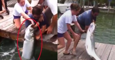 Video: Câu cá bằng tay không – Người đàn ông vật lộn với con cá khủng